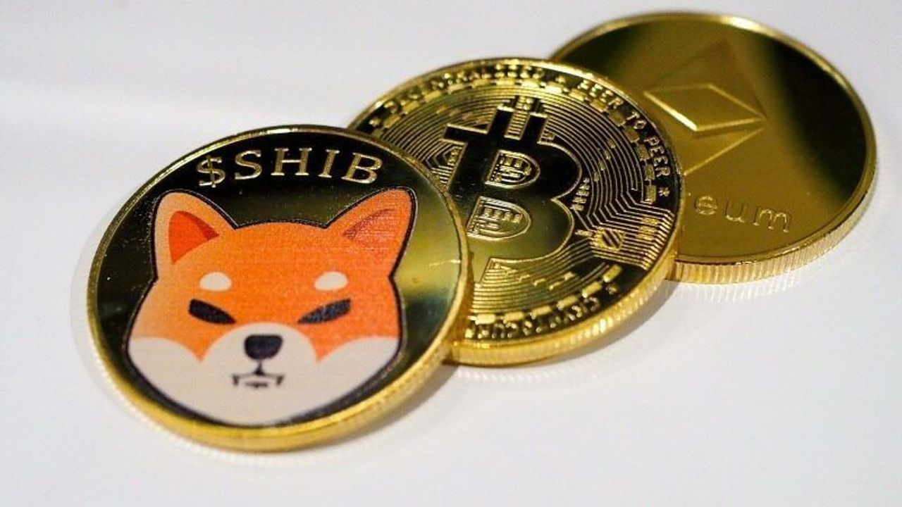 Shiba coin açıklamasına dikkat! - Özgün Kocaeli