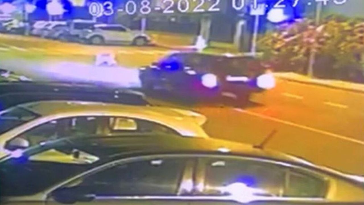 Ehliyetsiz sürücü köpeği ezdi 