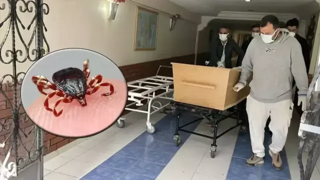 51 Yaşındaki Adam Keneye Kurban Gitti