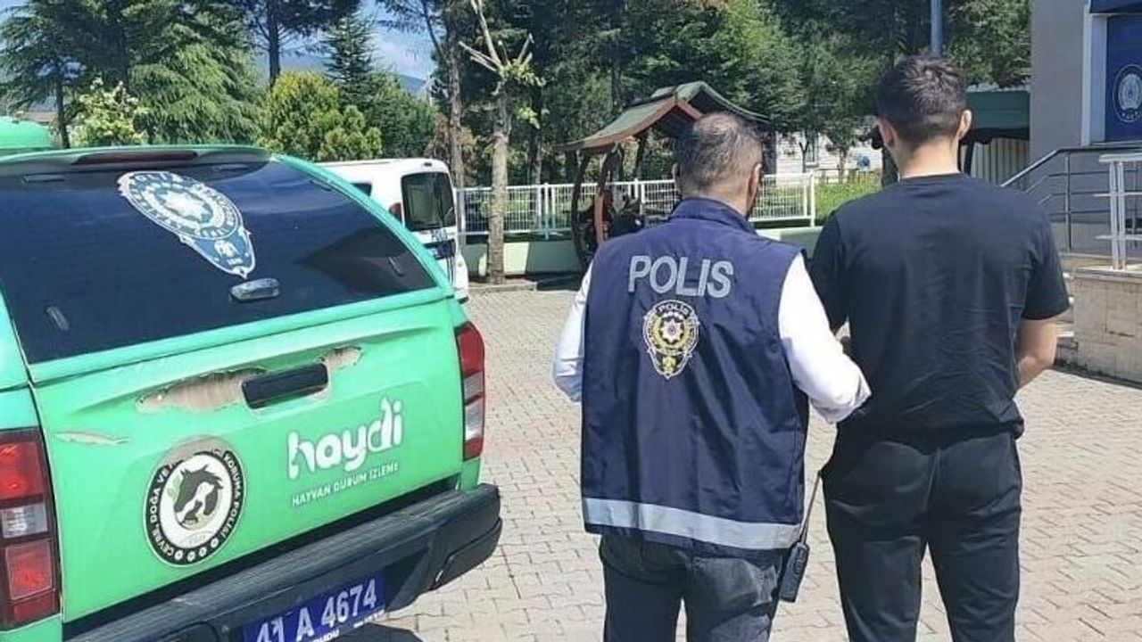 Kocaeli'de genç kadına sevgili vahşeti