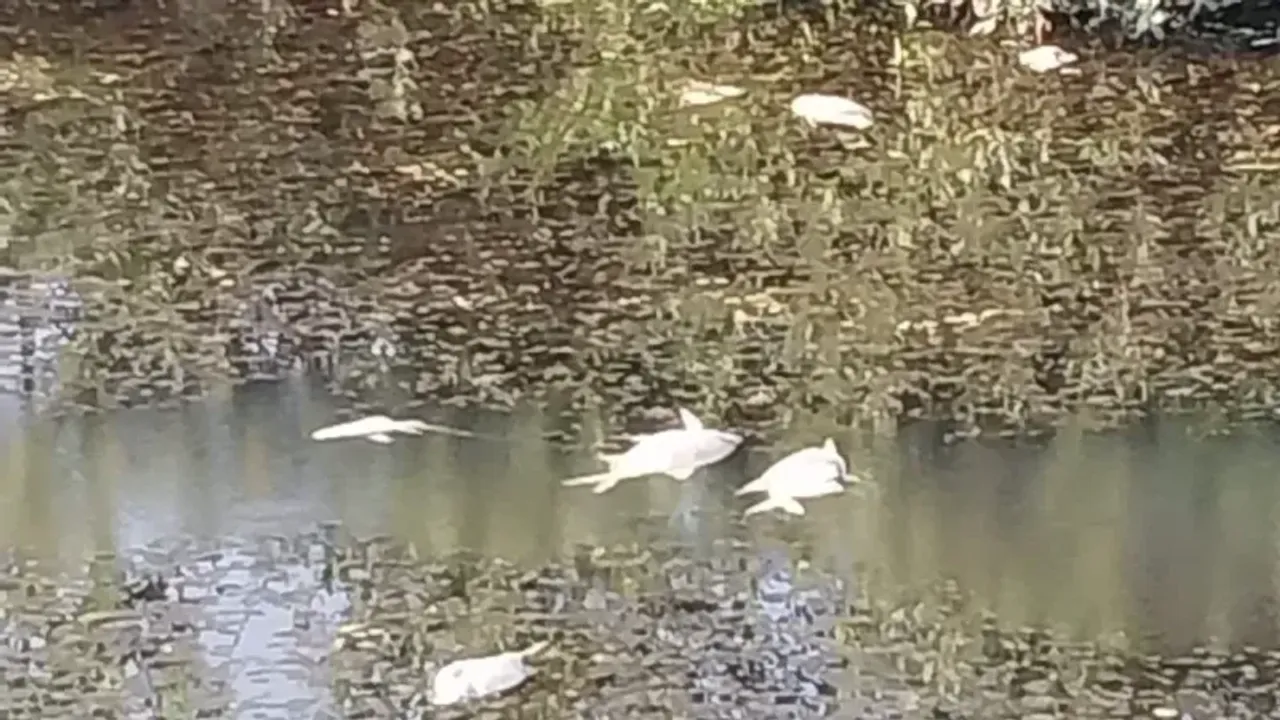 Derbent’te içler acısı manzara!