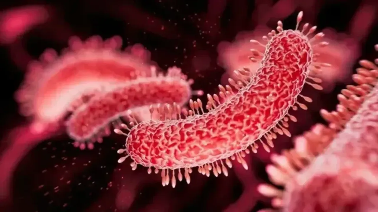 Et Yiyen Bakteri Türkiye’ye geldi iddiası plajları karıştırdı