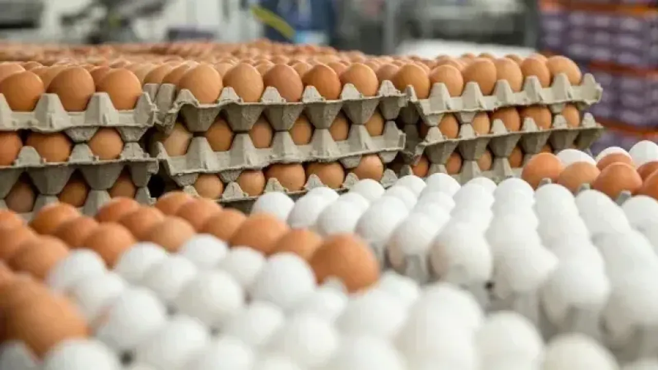 Yumurta satışında yeni dönem