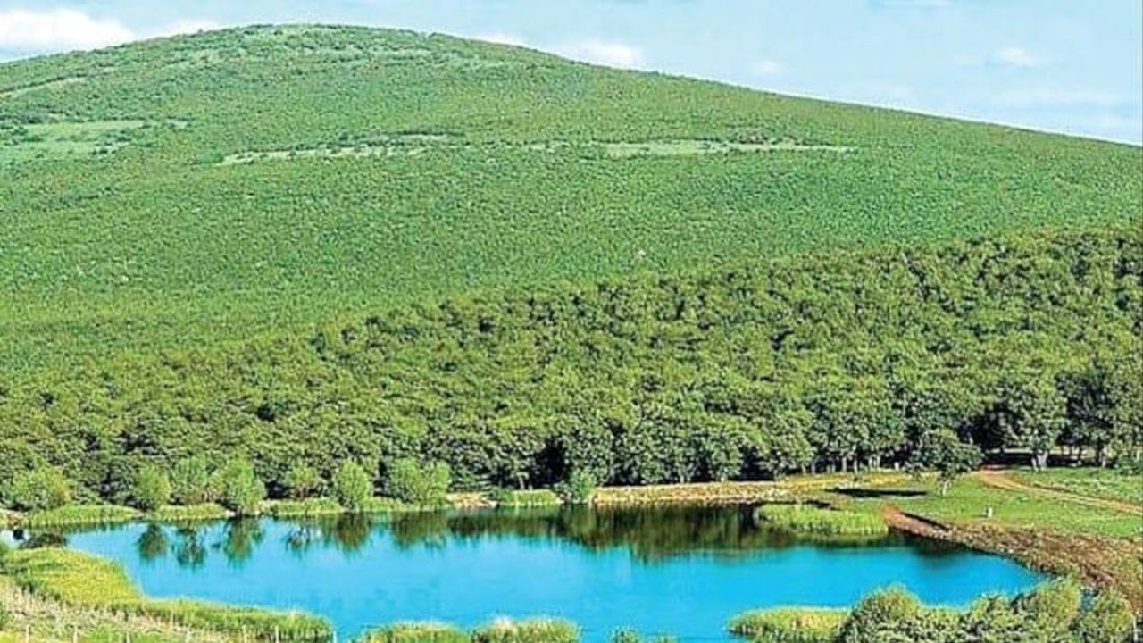 Meşe Ormanlarına Maden Ruhsatı Verildli