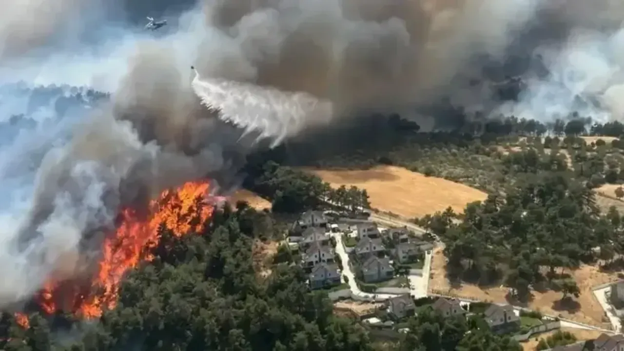 Çanakkale'deki yangınla ilgili 4 kişi gözaltına alındı! 
