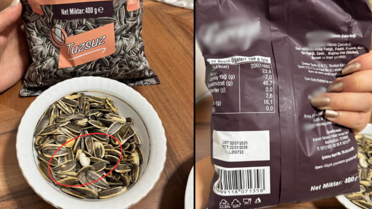 Gebze’de çekirdekten salyangoz çıktı! 