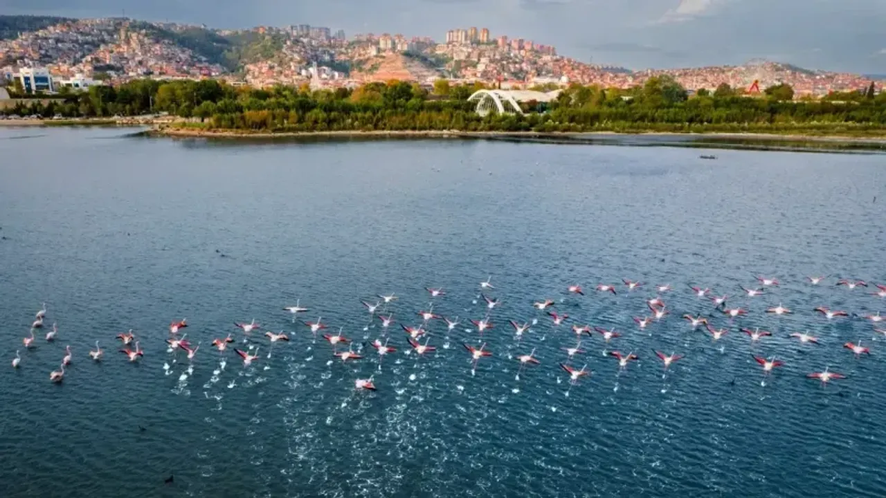 Fotoğraf kareleri Kocaeli’nin güzelliklerini yansıtacak