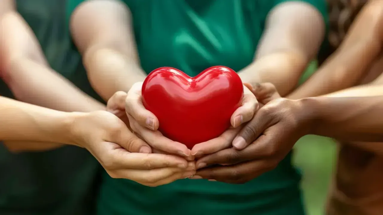 Organ Bağışı Artık E-Devlet’ten Yapılabilecek