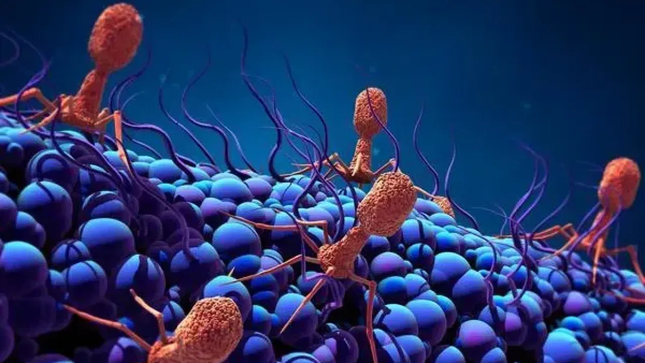 Yapay Zeka Sayesinde Bakterileri Öldüren Virüs Üretildi