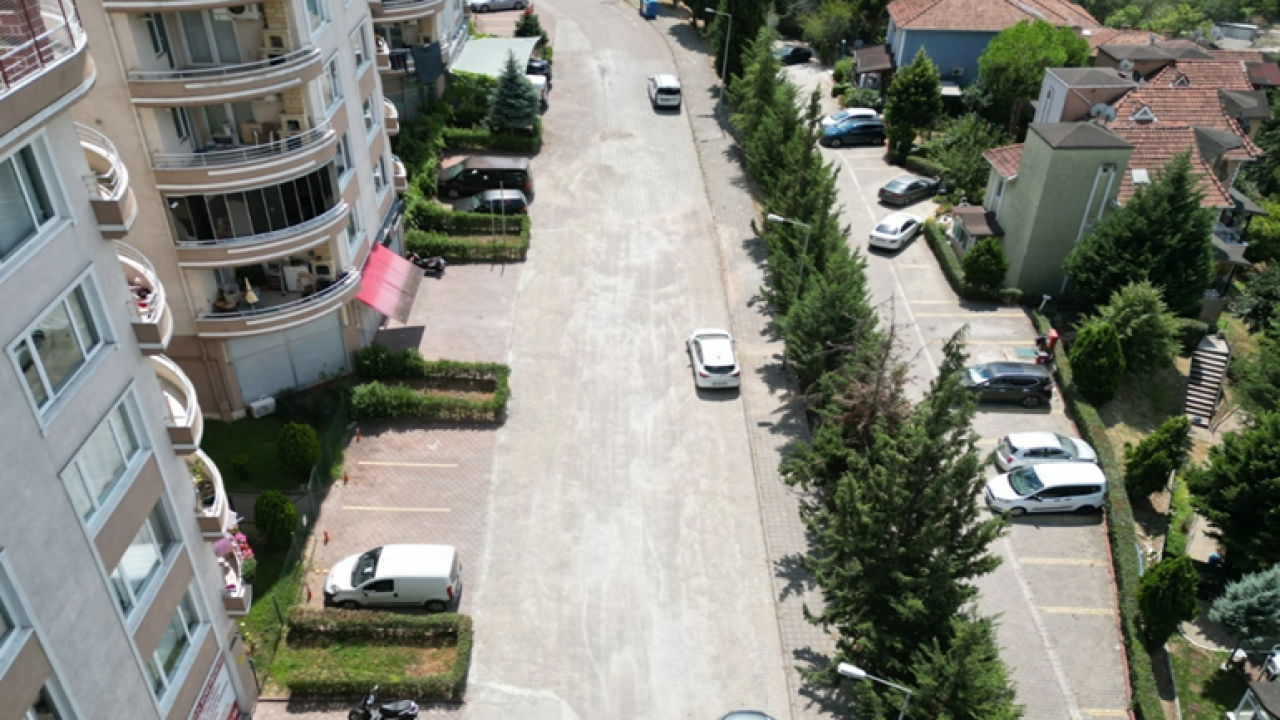 İzmit'teki o caddede çınar ağaçları sökülecek