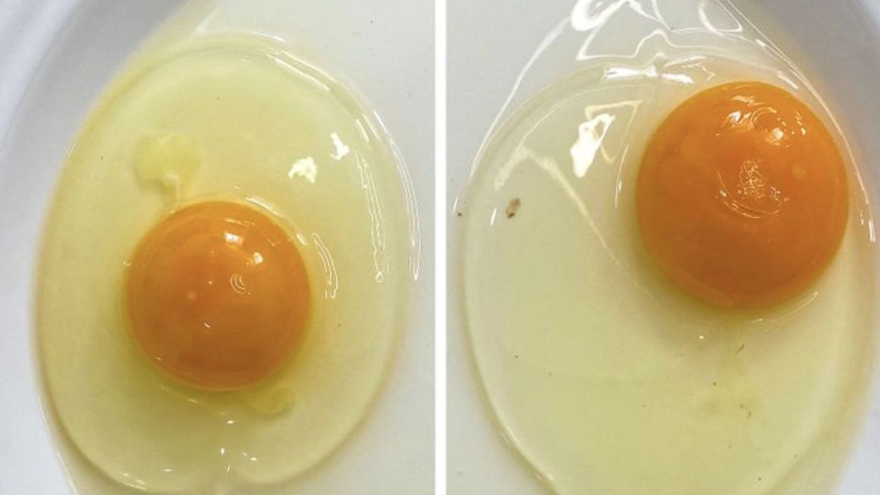 Yiyeceklerin Taze Olup Olmadığını Anlamanın 10 Pratik Yolu