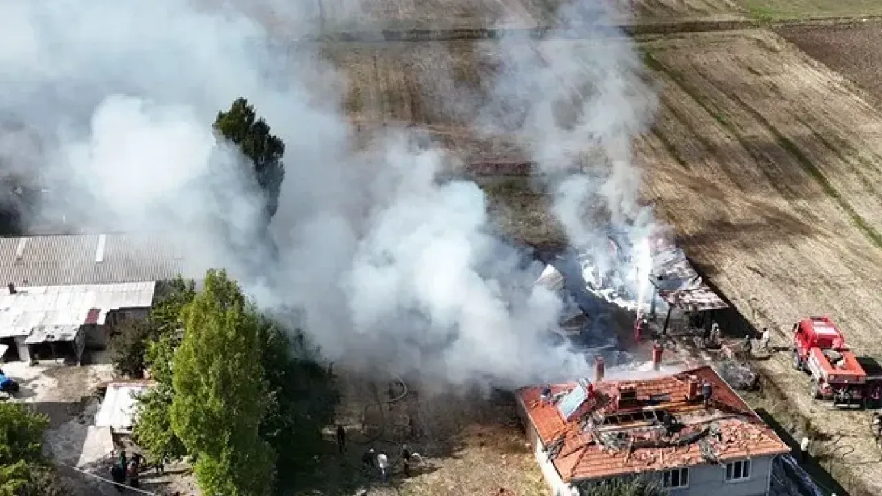Alevler evi ve bahçedeki araçları yuttu!