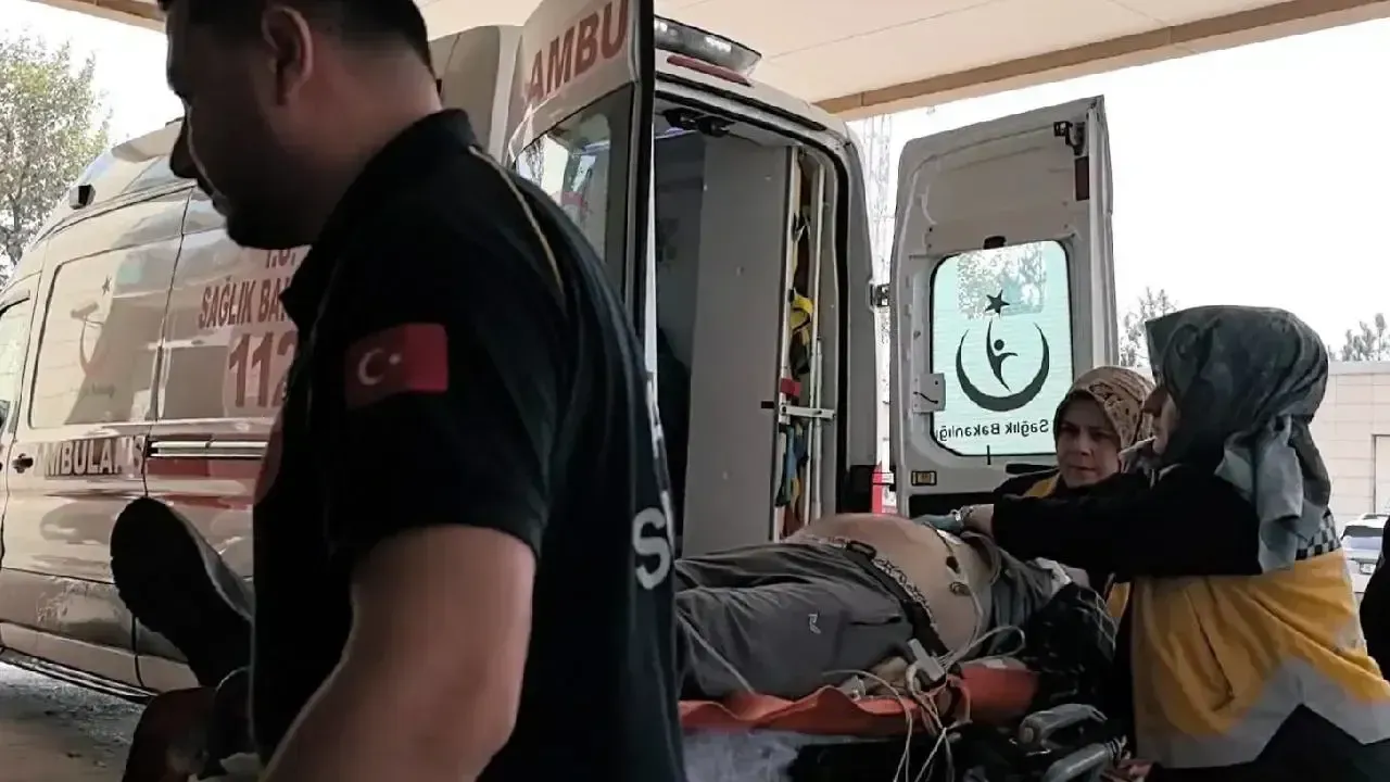 Ceviz toplamak isterken canından oldu