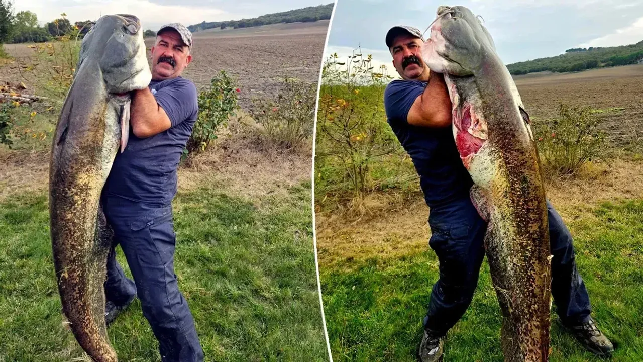 Oltayla 70 kiloluk canavarı yakaladı!