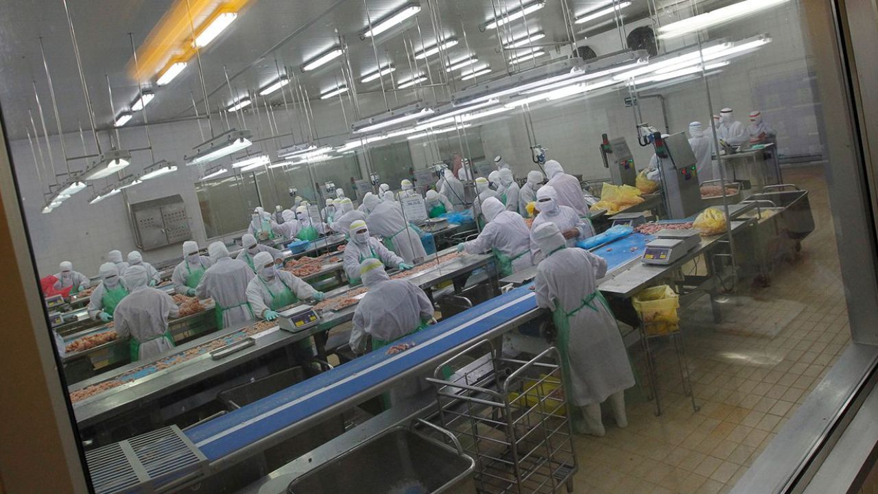 Kuş Gribi Alarmı! 460 Bin Tavuk İtlaf Edilecek