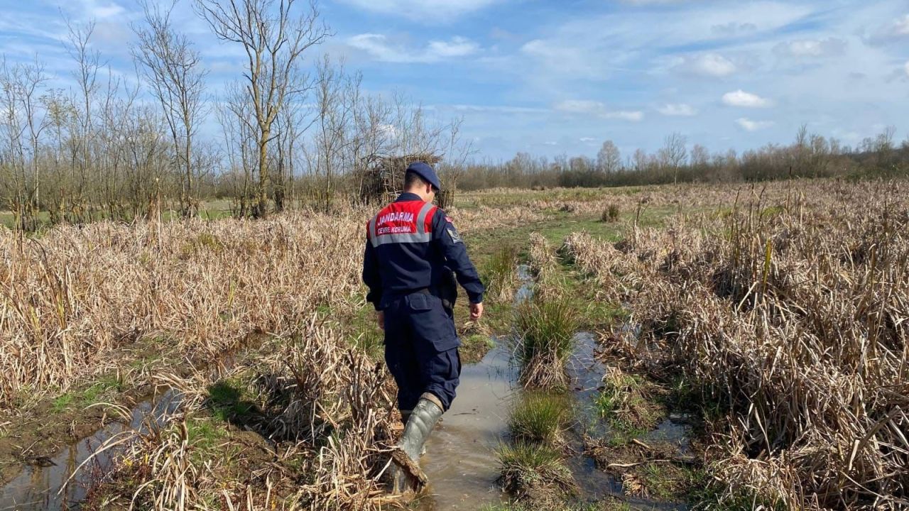 Kaçak avcılıkta kullanılan 6 avcı kulübesi imha edildi