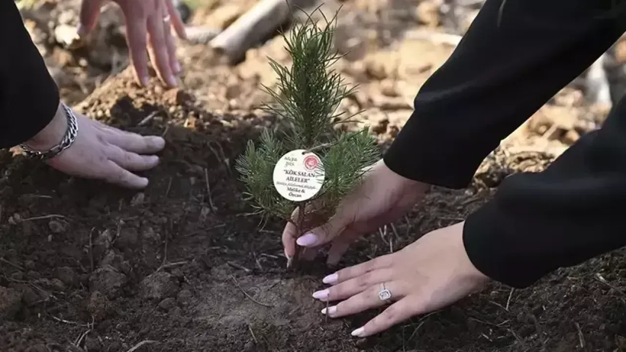 Evlilik Kredisine Yoğun İlgi: 26 Bin Başvuru, 8 Bin Onay