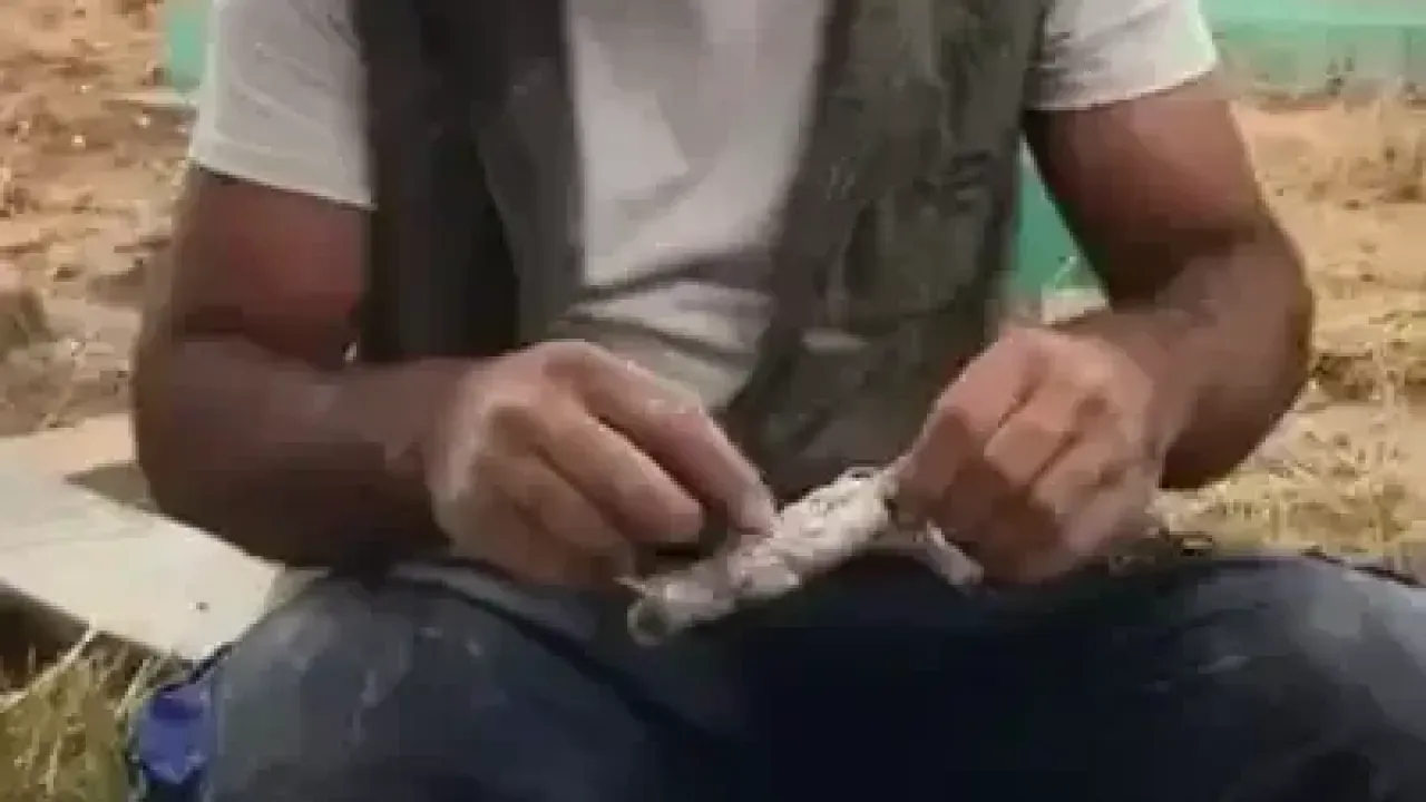 Mezardan Kefenlenmiş Bebek Çıkardı