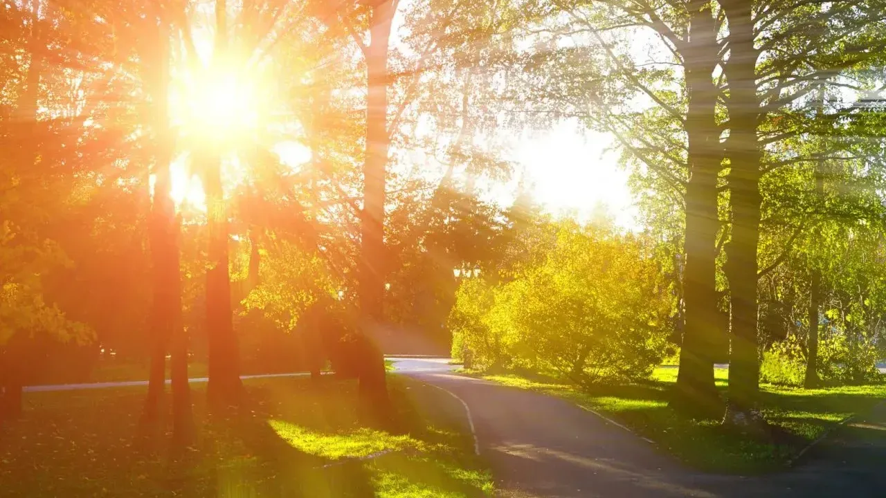Kocaeli Adeta Bayram Havası Yaşayacak