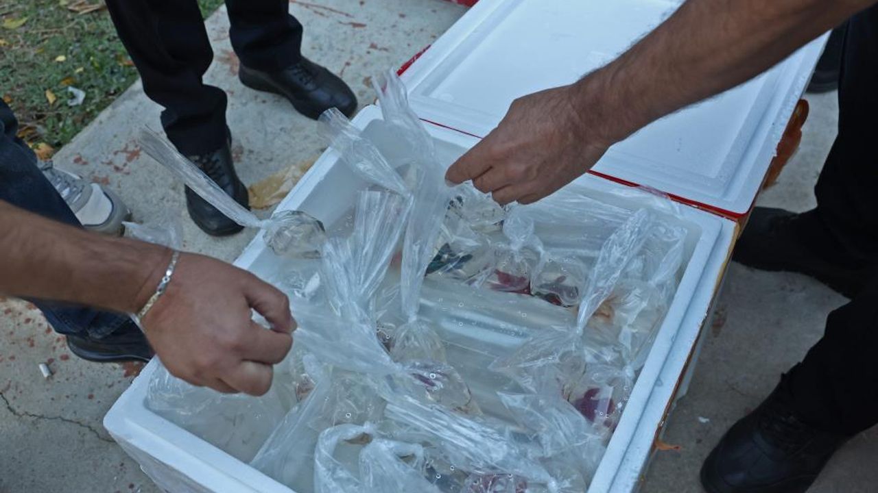 Tayland - Tokat - İstanbul! Fıkra Gibi Olay