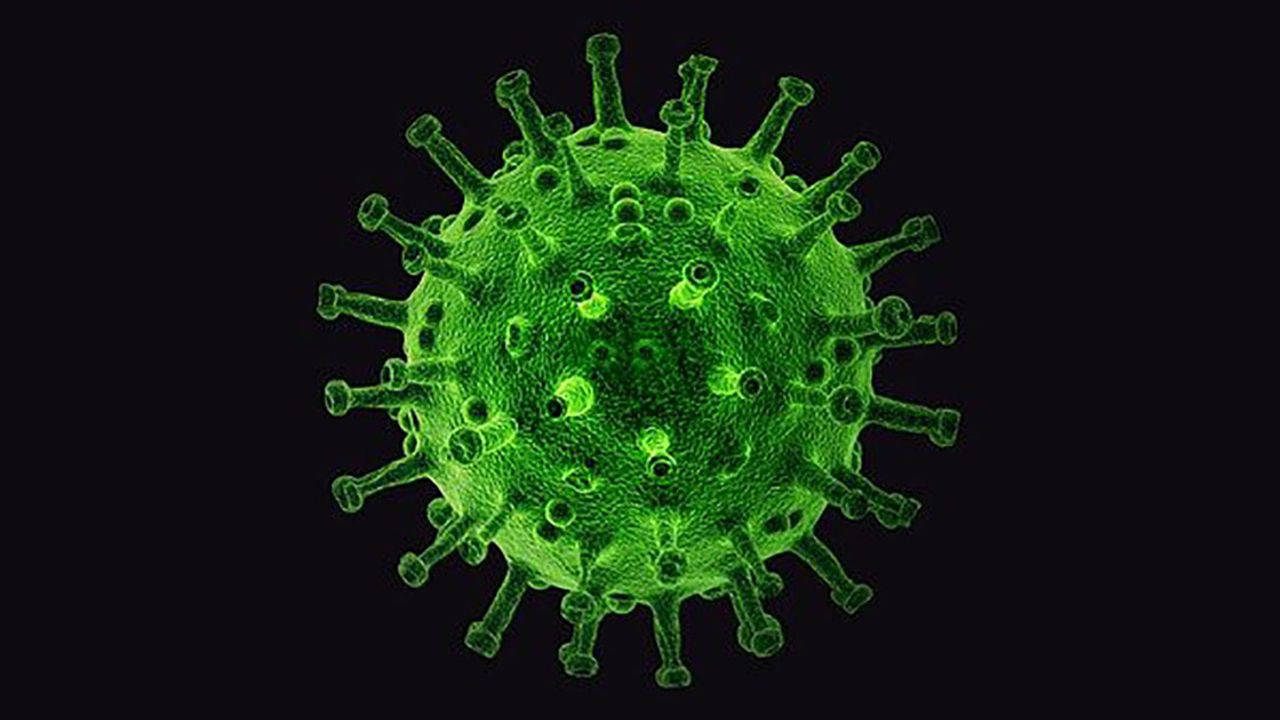 Yıllar sonra Türkiye'de tekrar görüldü!