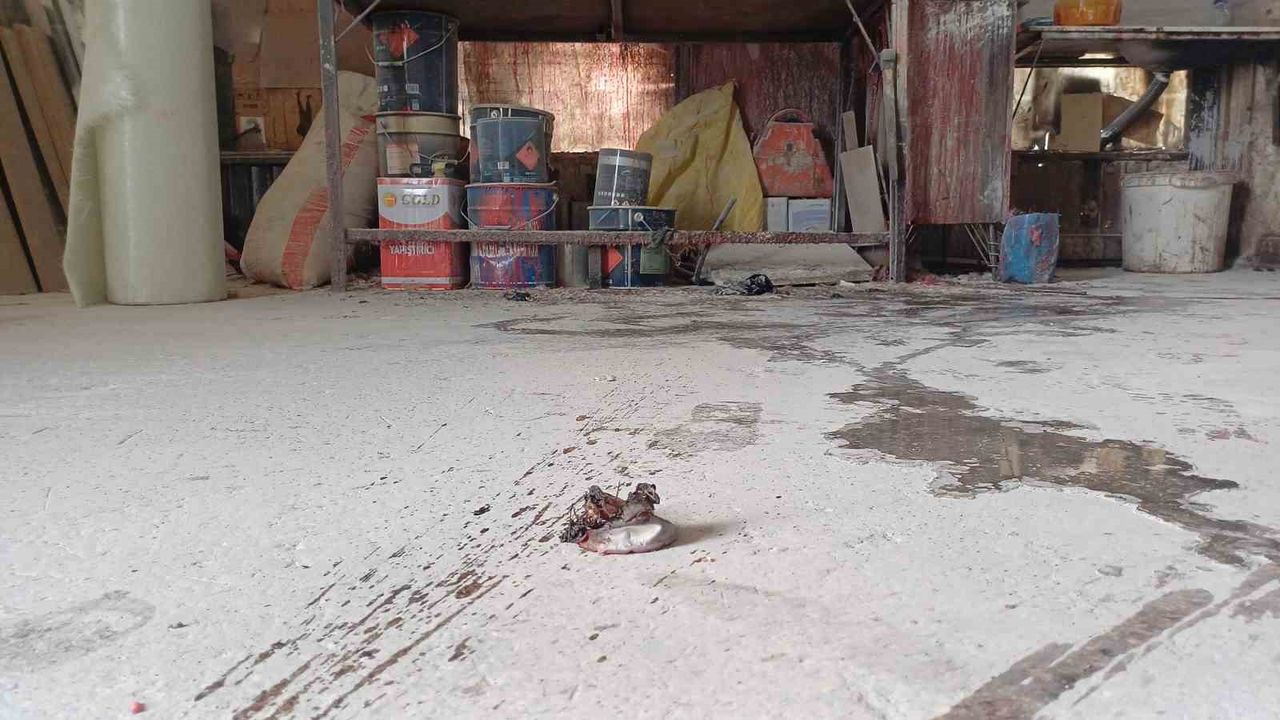 Sobayı Yakmak İsterken Kendini Yaktı