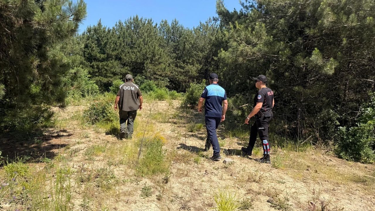 Kocaeli'de Orman Yangınlarına Karşı Saha Denetimi