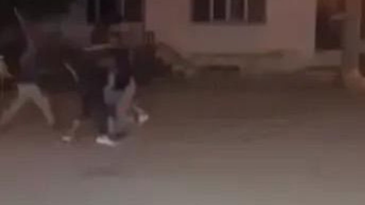 Kartepe’de Taşlı Sopalı Kavga: 6 Kişi Yaralandı