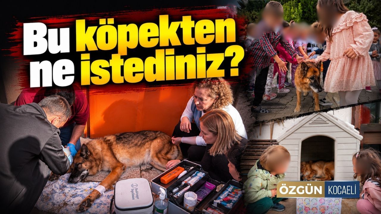 Kocaeli Veteriner Hekimleri Odası'ndan Süreç Açıklaması