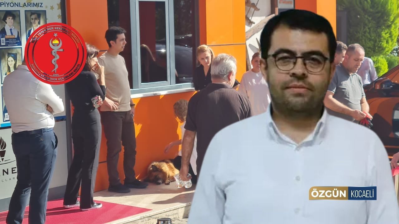 Köpeğe müdahale sonrası Veteriner Hekimleri Odası: "Sürecin takibini yapacağız"