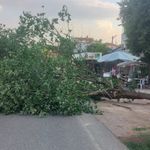 Şiddetli rüzgar Gebze'yi vurdu