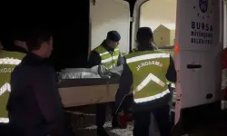 18 Yaşındaki Arkadaşını Yakarak Öldürdü! 