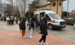 İzmit’te Köpek Saldırısı: Bir Kişi Yaralandı