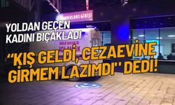 Tanımadığı Kadını Bıçakladı: "Kış geldi cezaevine girmem lazımdı" dedi!