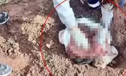 Köyde korkunç olay! Poşet İçinde Yeni Doğmuş Bebek Cesedi Bulundu!