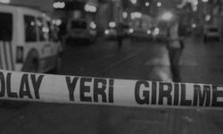 Otomobil kaloriferi can aldı!