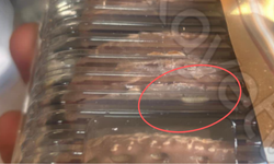 Çayırova'da mide bulandıran olay! 