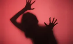 Öz Yeğenini Hamile Bıraktı!