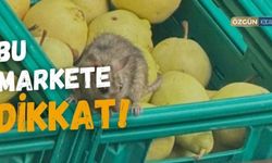 Manav Reyonunda Fareler Dolaşıyor!