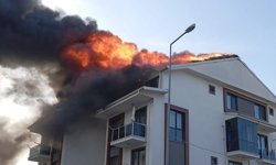 Karamürsel'de Korkutan Yangın!