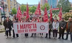 TİP Kocaeli İl Örgütü: "Saraylar Çökecek, Emeğin İktidarı Kurulacak"