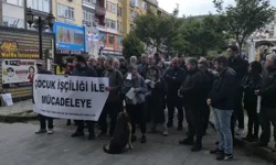 Eğitim-Sen: "MESEM projeleri ile çocukların yaşam hakları tehlikeye atılmaktadır"