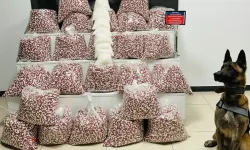 Gebze'de Büyük Operasyon!