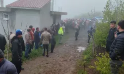 Genç Anne Ağaca Asılı Halde Bulundu! 