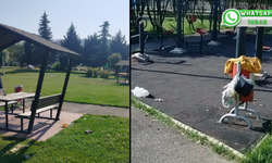 Gölcük’te Piknik Alanı Çöpten Geçilmiyor
