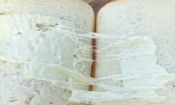 110 TL'ye tost aldı, kaşarı mikroskopla aradı