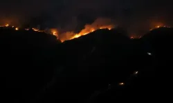 Sakarya'daki orman yangınında 28'inci saat: Alevlerin boyutu hava kararınca ortaya çıktı