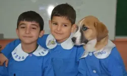 Dikkat! Tüm Okullarda Geçerli Olacak