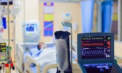 Türkiye'de Deli Dana Hastalığı!