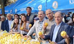 Kartepe’de Ayva Coşkusu: Eşme Şifa Saçtı